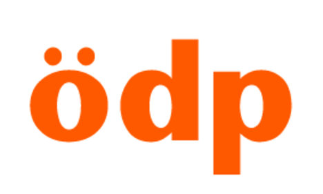 Logo Schrift Orange