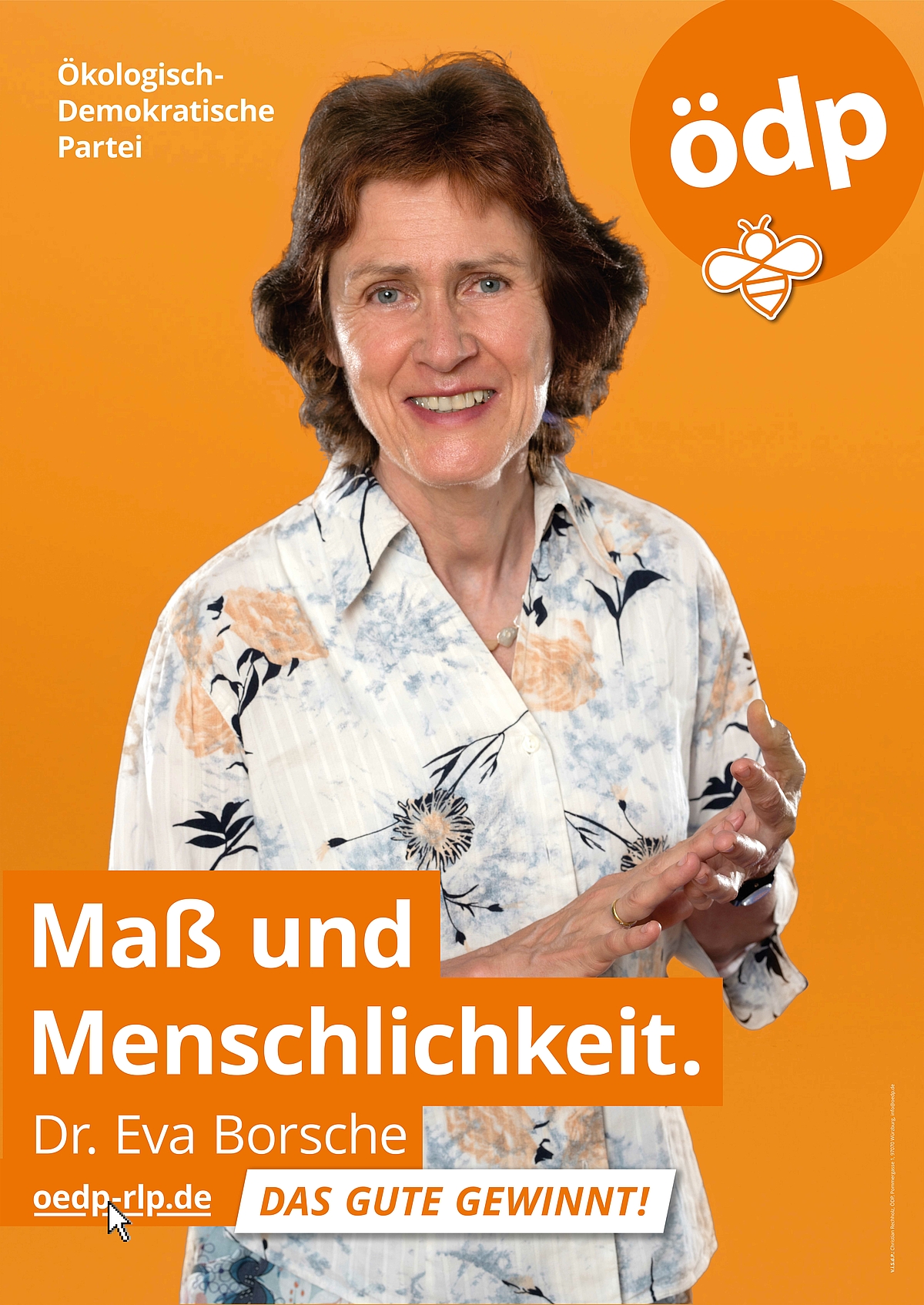 Wahlplakat Dr. Eva Borsche